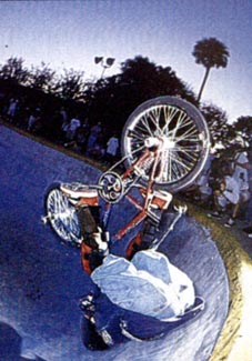 mike escamilla rooftop flip