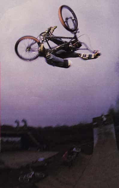 lee reynolds 1986